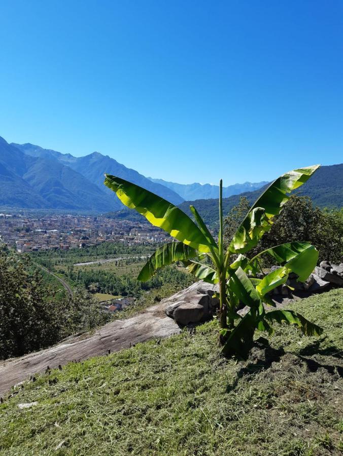Ossola Dal Monte - Affittacamere Crevoladossola Exterior foto